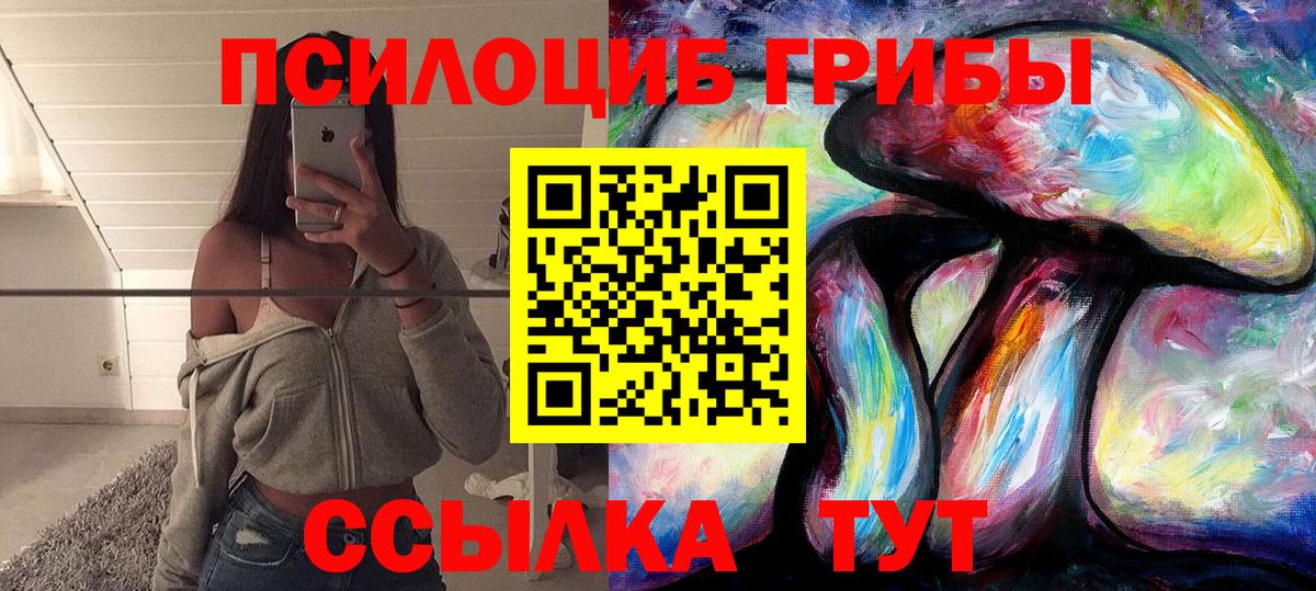 Галлюциногенные грибы Cubensis Борзя